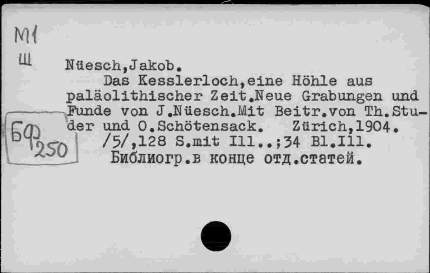 ﻿м<
Nüesch,Jakob.
Das Kesslerloch,eine Höhle aus paläolithischer Zeit.Neue Grabungen und
Funde von J.Nüesch.Mit Beitr.von Th.Stu-
гч der und 0.Schötensack.	Zürich, 1904
/5/,128 S.mit Ill.. 04 Bl.Ill.
Библиогр.в конце отд.статей.